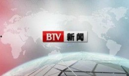 北京电视台新闻爆料,揭秘XX事件背后真相